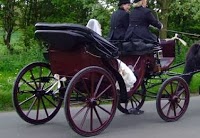 Blakewell Horse Drawn Wedding Carriage Hire 1067336 Image 3